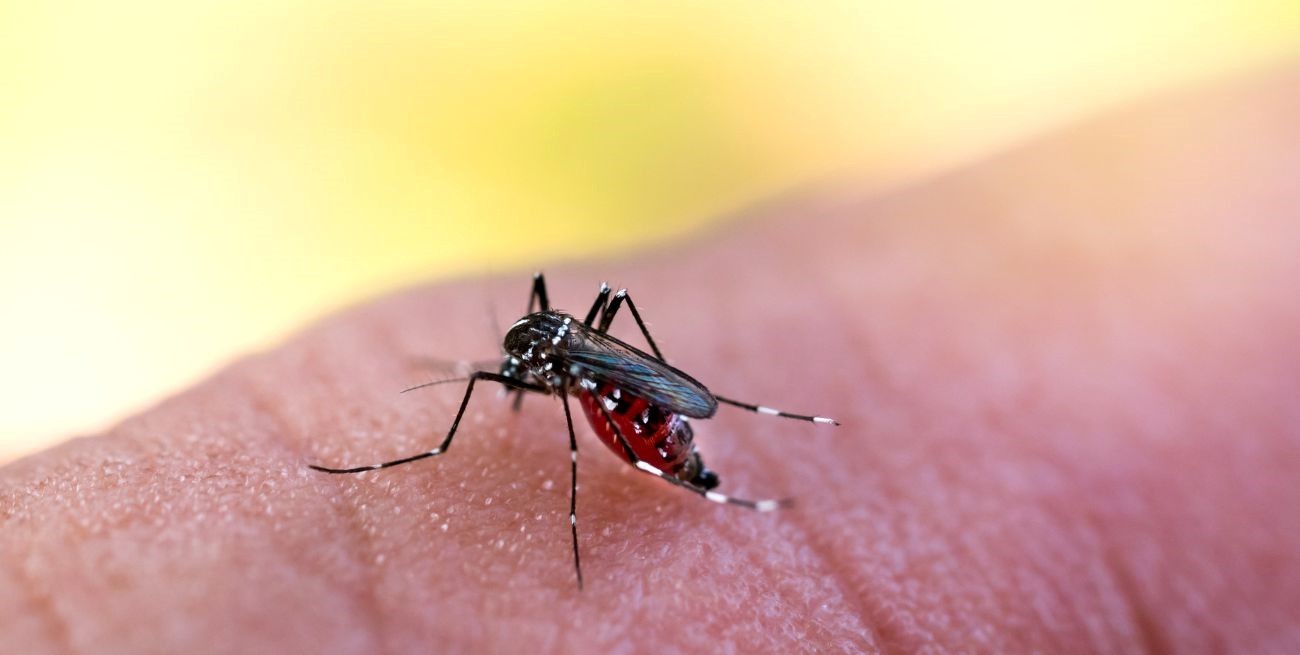 Dengue en Santa Fe: más de 21 mil casos confirmados y ocho fallecidos
