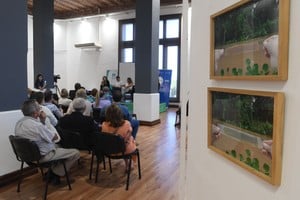 La charla fue en el marco del proyecto “Miradores del Agua: un espacio de encuentro para la reflexión, el aprendizaje y la generación de conciencia”. Foto: Luis Cetraro