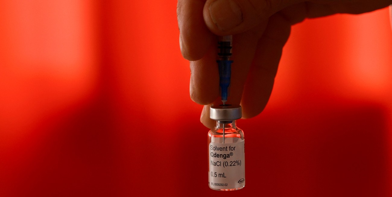 La vacuna contra el dengue: características y dónde conseguirla