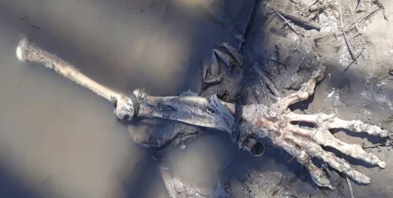 Encontraron restos óseos en el camino a Puerto Reconquista