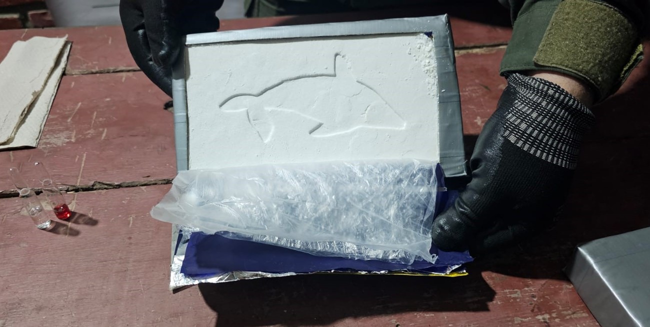 Operativo "Delfín Pescado": Gendarmería nacional secuestro cocaína del cártel del "patrón del norte"