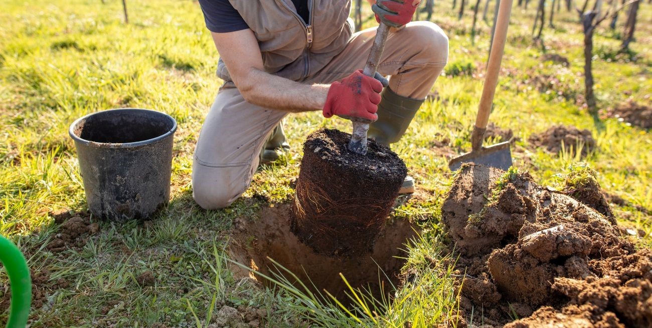 Con la meta de plantar 250 árboles, se realiza una nueva Jornada Ambiental en Santa Fe