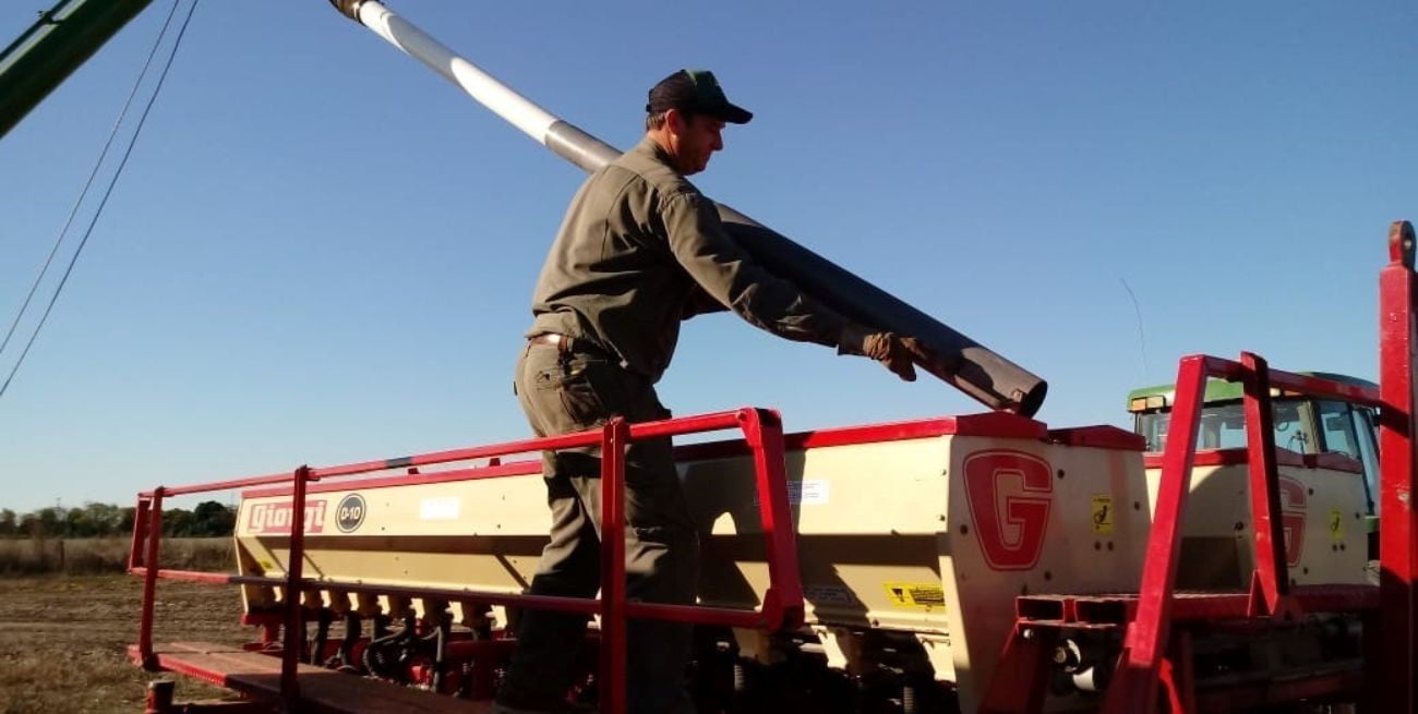 A pesar de márgenes justos, se sembrará más trigo