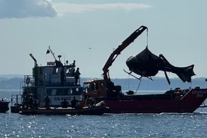 Se esperan informes internacionales solicitados a la empresa fabricante de la aeronave Robinson R-44, como también los reportes climáticos de esos días en la zona del siniestro.