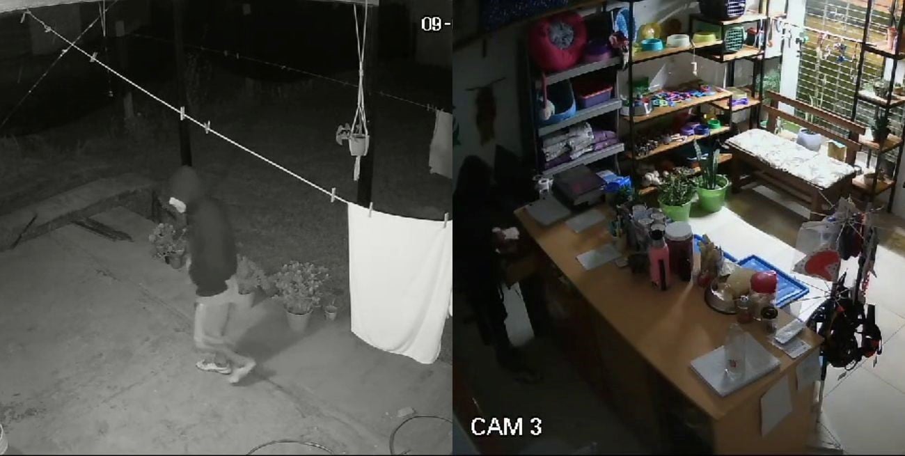 Video: delincuentes saquearon una veterinaria de Ángel Gallardo