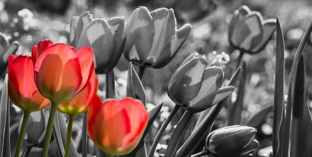 11 de abril, Día Mundial del Parkinson