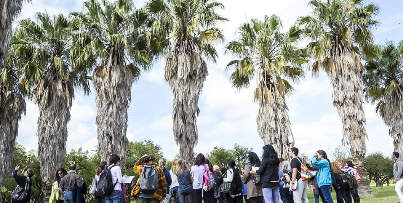 Rosario: brindarán financiamiento a iniciativas de acción climática lideradas por jóvenes 