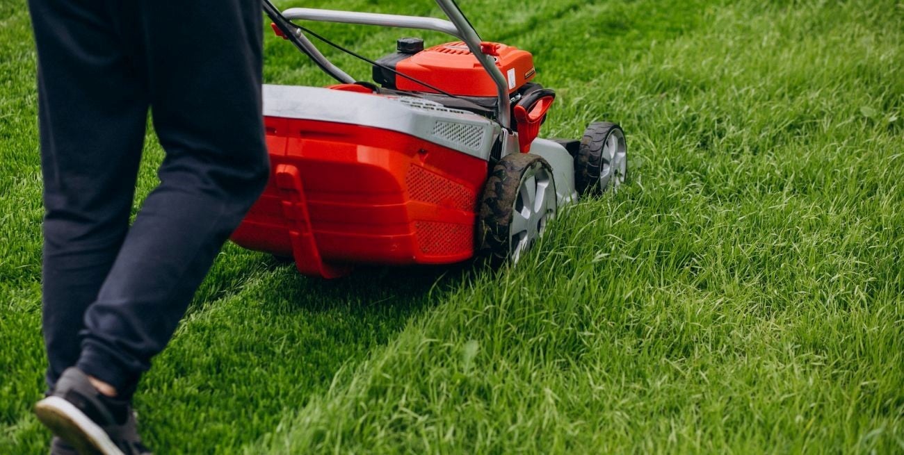 ¿A qué altura se debe cortar el césped?