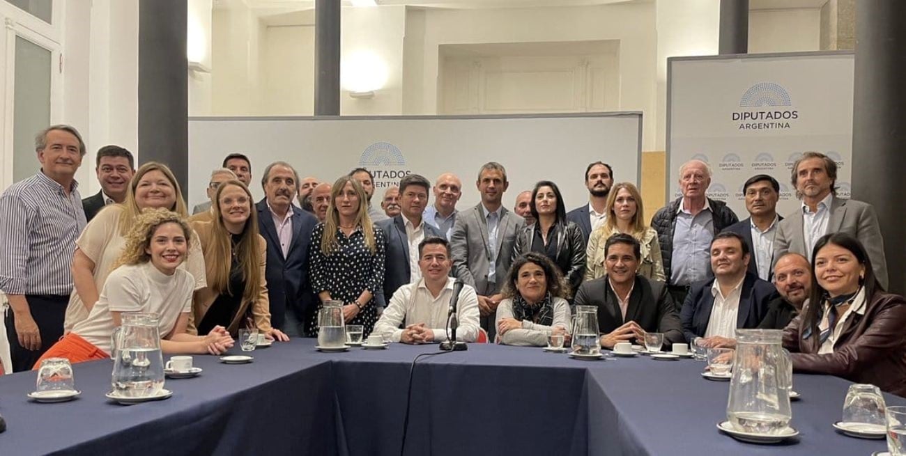 Crisis en La Libertad Avanza: se rompería el bloque oficialista en la Cámara de  Diputados