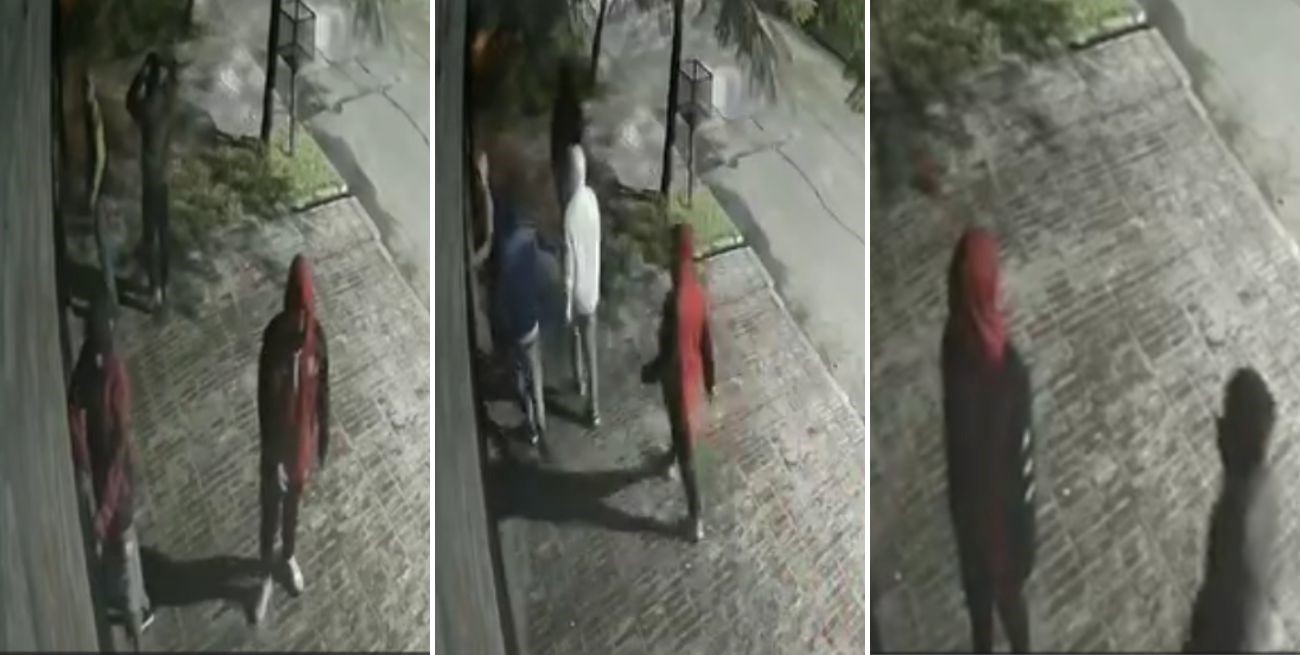 Vecinos de Guadalupe preocupados por un "cardumen de pirañas" que caza de noche