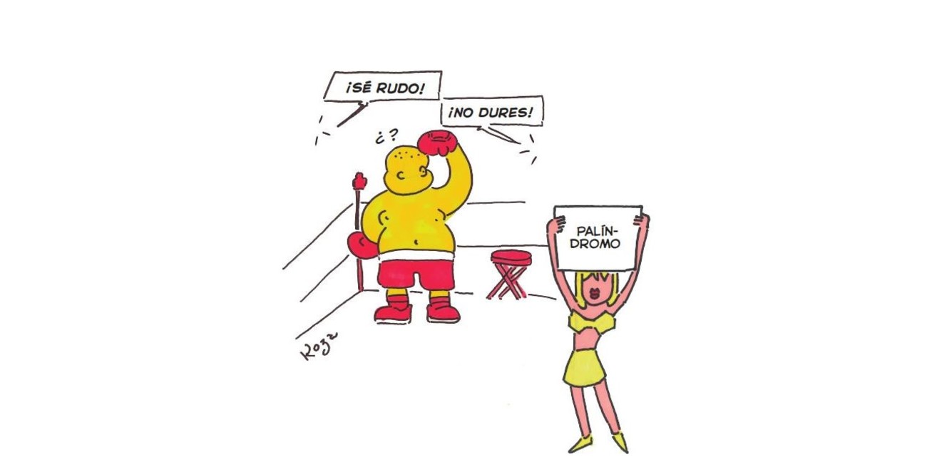 Entre palabras reversibles y risas: el nuevo mundo de Walter Koza 