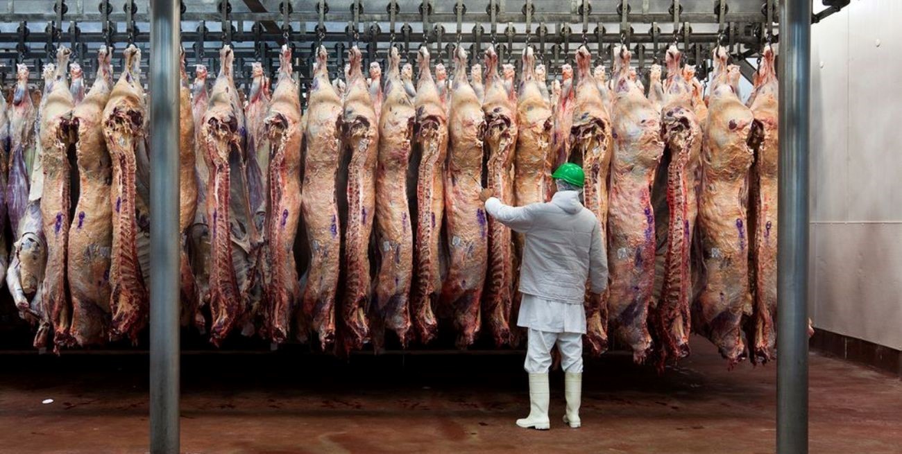 Exportaciones de carne: ligera recuperación de valores y precios durante abril