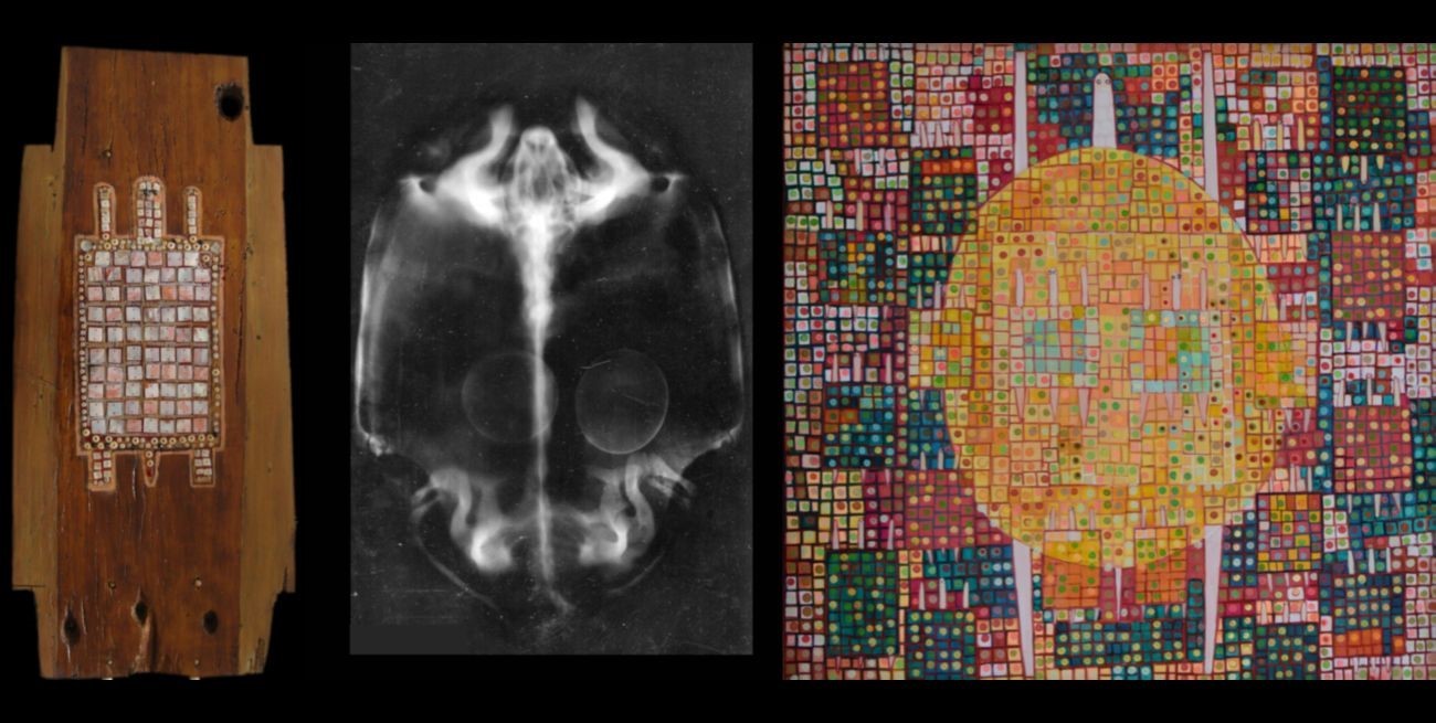 Se inaugurará la muestra "De Cuadrados y Tortugas Mágicas"