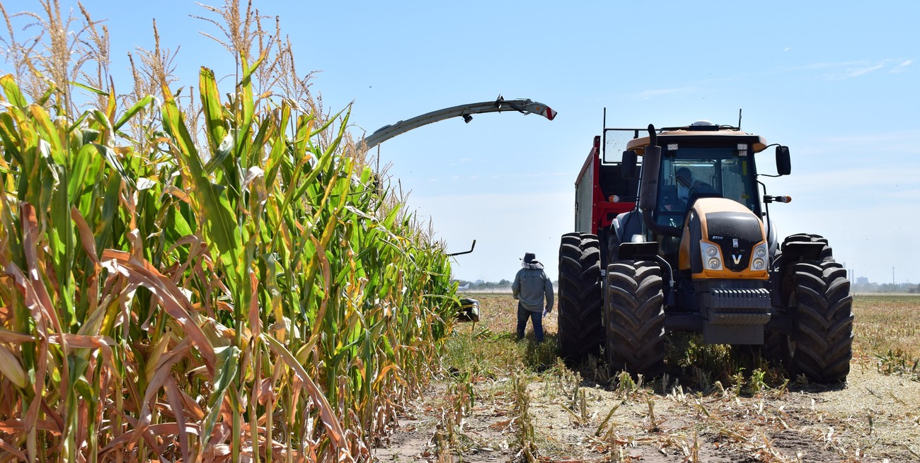 Puccini: "Sería un grave retroceso permitir la importación de maquinaria agrícola usada"