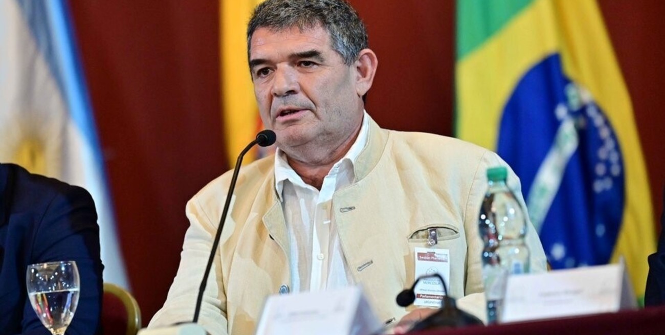 Alfredo Olmedo fue removido como presidente del Parlasur