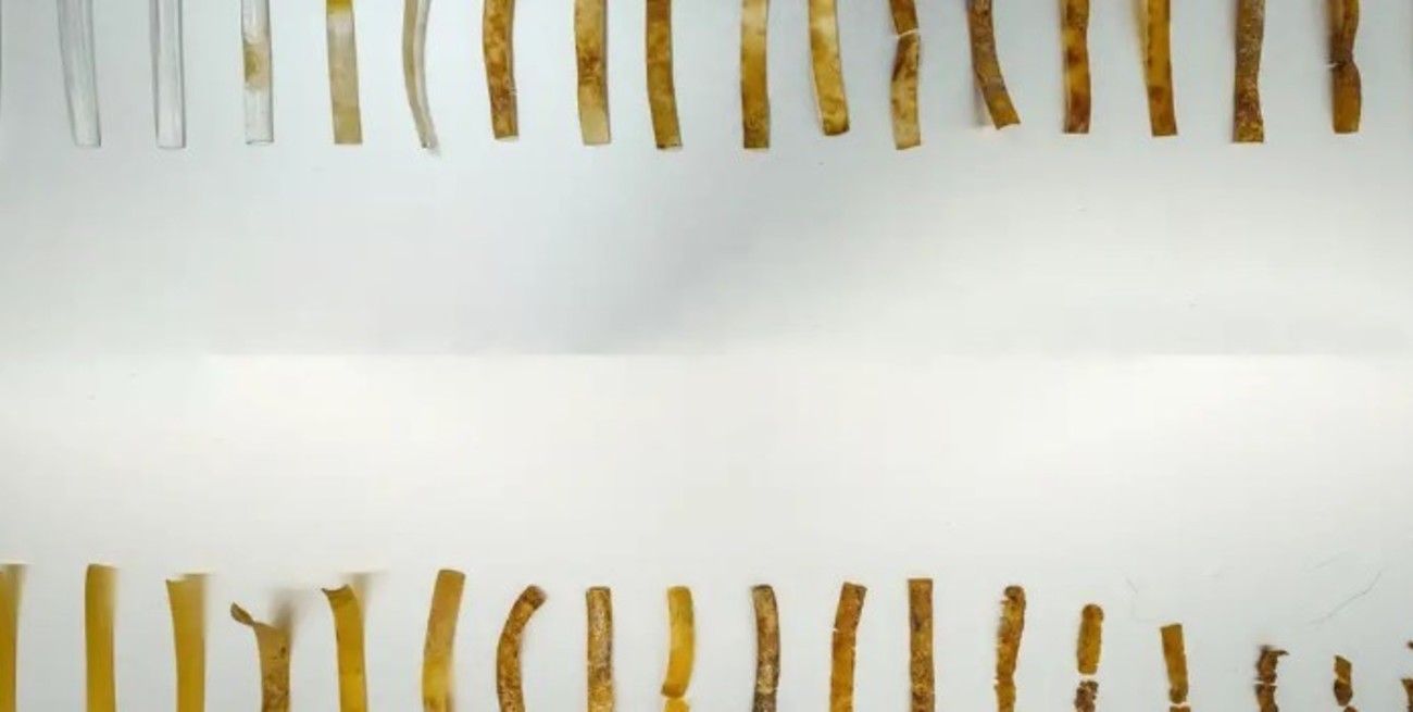 Desarrollaron un "plástico vivo" que se puede autodestruir