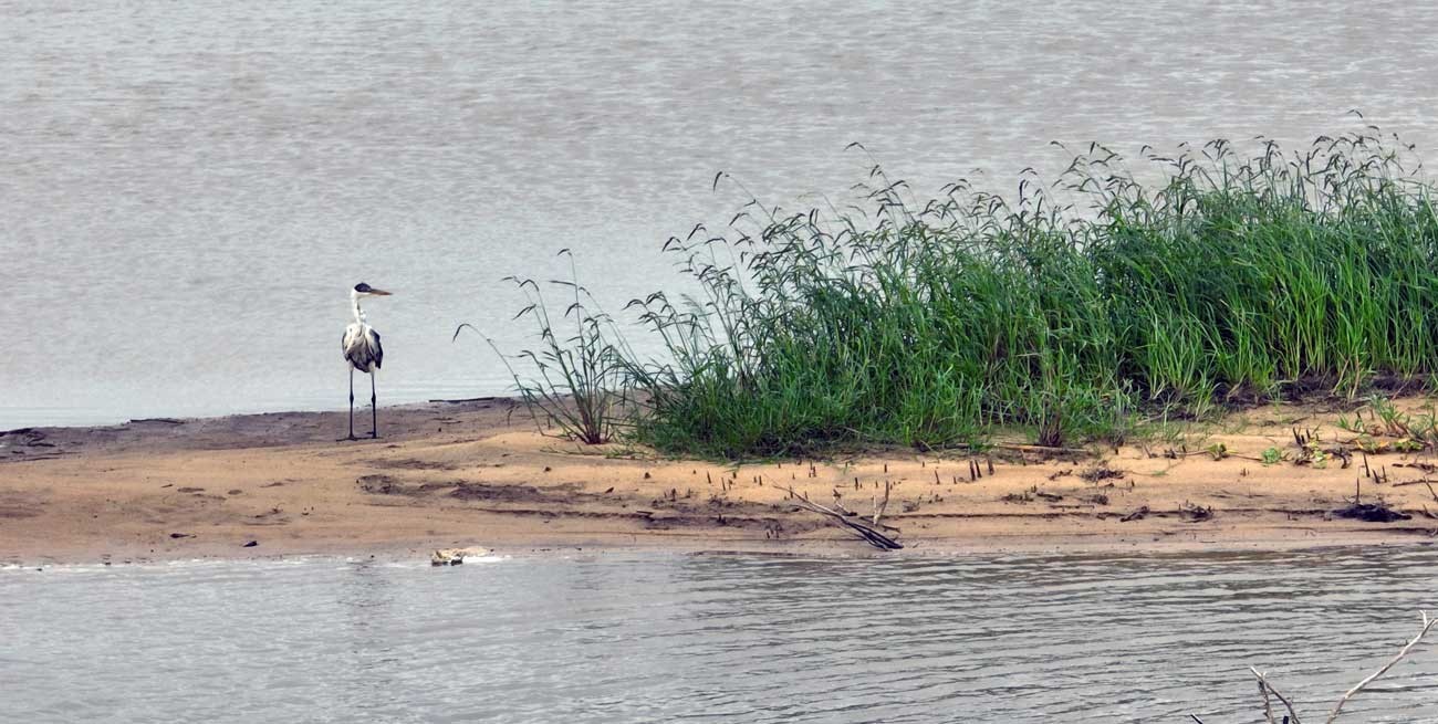 El río Paraná se recupera: volvería a superar los tres metros en Santa Fe