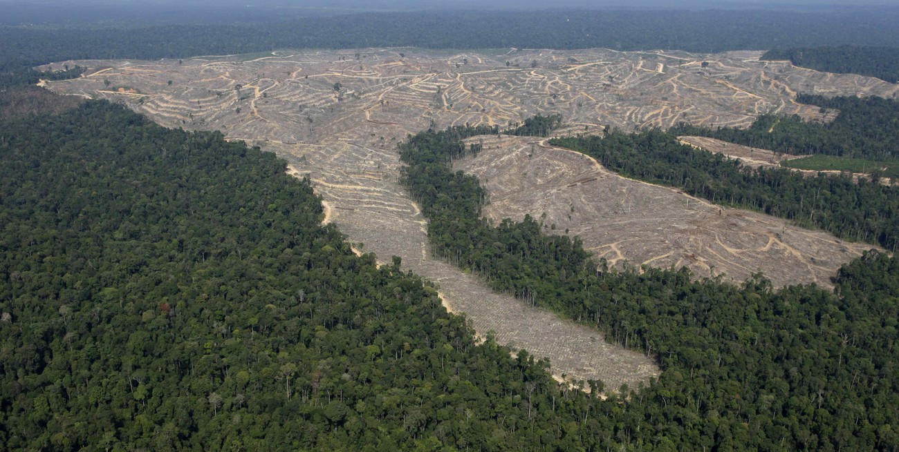 Alemania ya superó sus límites ecológicos previstos para todo 2024