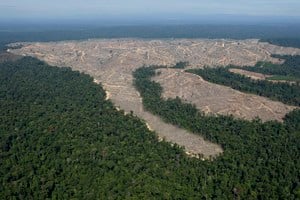 Deforestación en el Amazonas. 