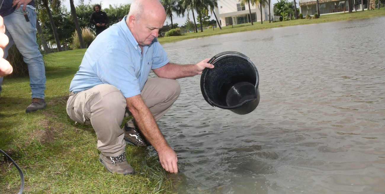 Ya son 3 los barrios privados que sembraron peces en sus lagunas para combatir el dengue