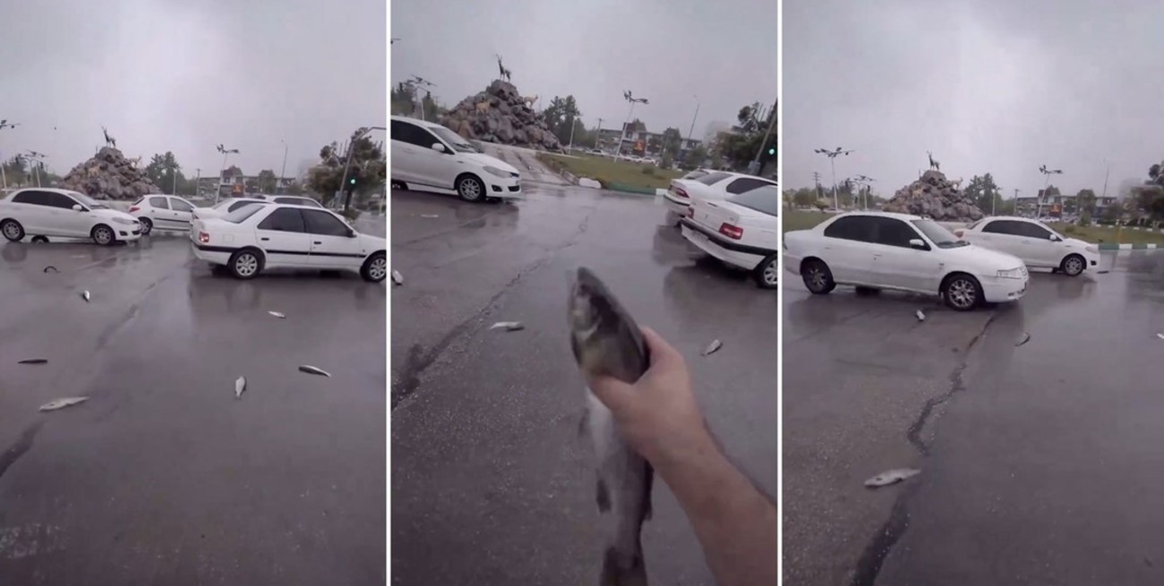 Video: una "lluvia" de peces sorprendió a los habitantes de una ciudad de Irán
