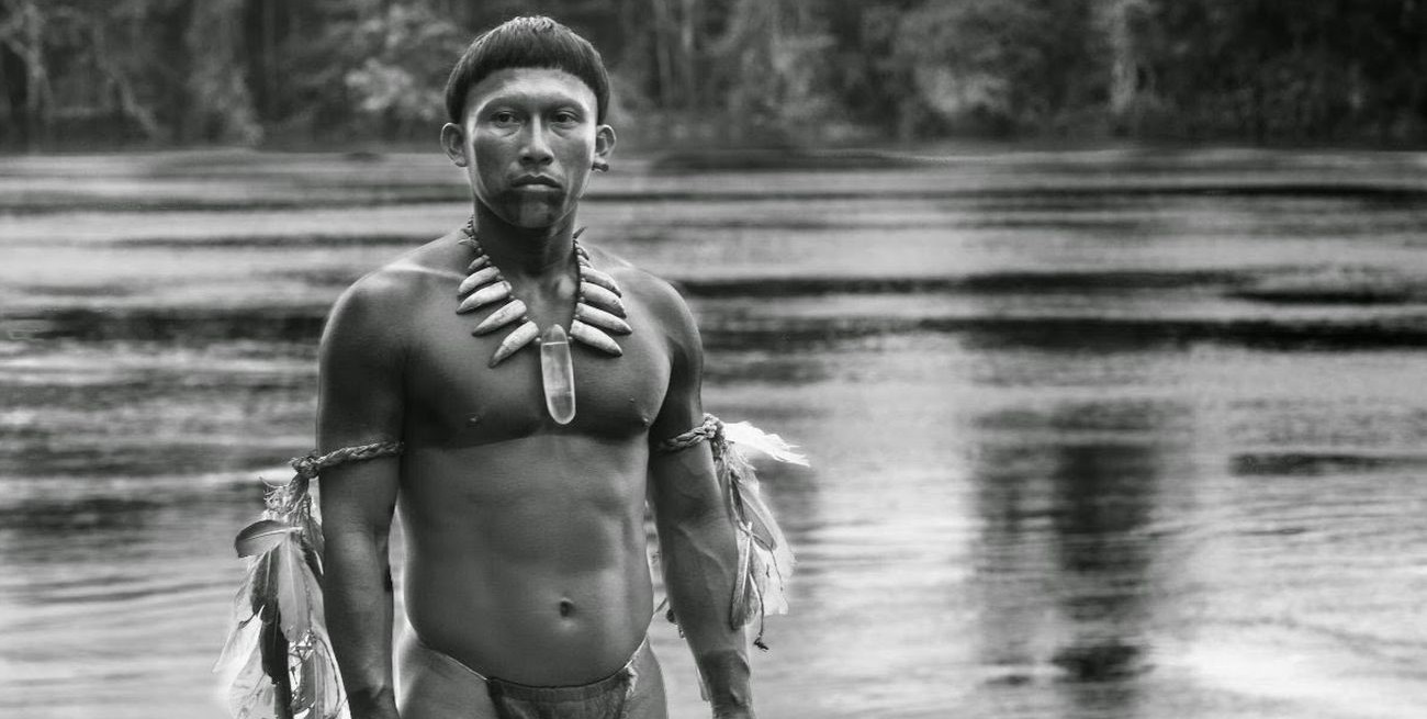 Ciclo de Cine y Filosofía: "El abrazo de la serpiente"
