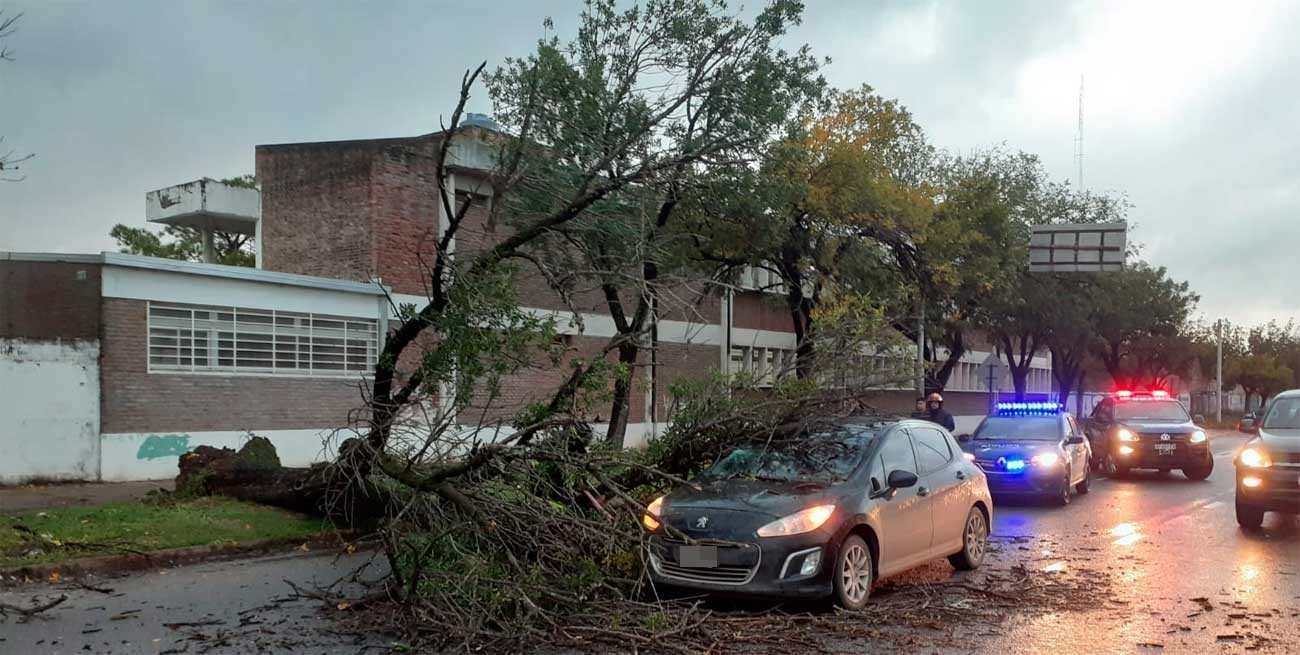 Por el fuerte viento un árbol cayó sobre un auto en Iturraspe y López y Planes