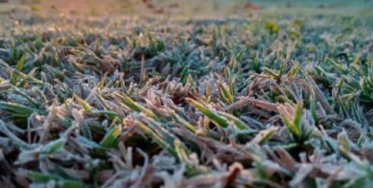 Venado Tuerto registró este jueves la temperatura más baja en lo que va del año
