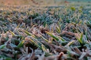 En Venado Tuerto, la temperatura mínima registrada a las 7 de la mañana fue de 1,2º C, convirtiéndose hasta aquí en el registro más bajo en lo que va del año. Luego, en el actualizado de las 8, el Servicio Meteorológico Nacional (SMN) indicaba un ascenso de temperaturas, ubicándose en 3º C.