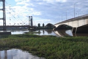 Los nuevos embalsados llegaron con la crecida del río. Foto: Flavio Raina