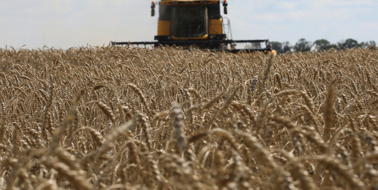 Saldo positivo en el intercambio comercial con Brasil durante abril