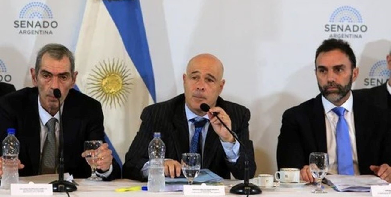 Ley Bases: se dificulta el dictamen exprés al que aspira el oficialismo