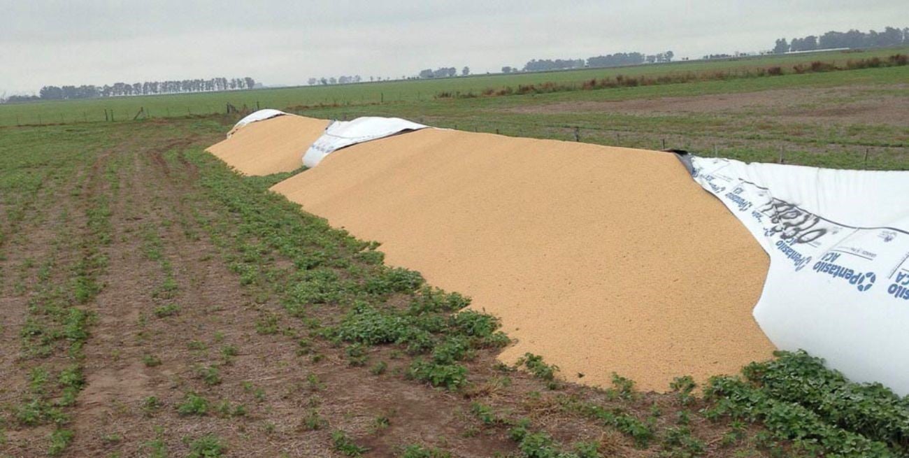 Confederaciones Rurales Argentinas propone incorporar el delito de vandalismo rural al Código Penal