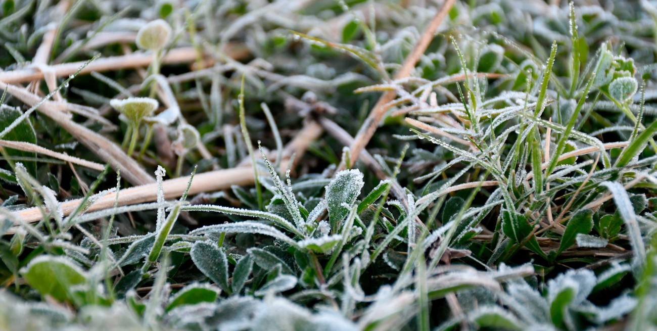 El ingreso de aire polar pone fin a las precipitaciones tardías en el área agrícola santafesina