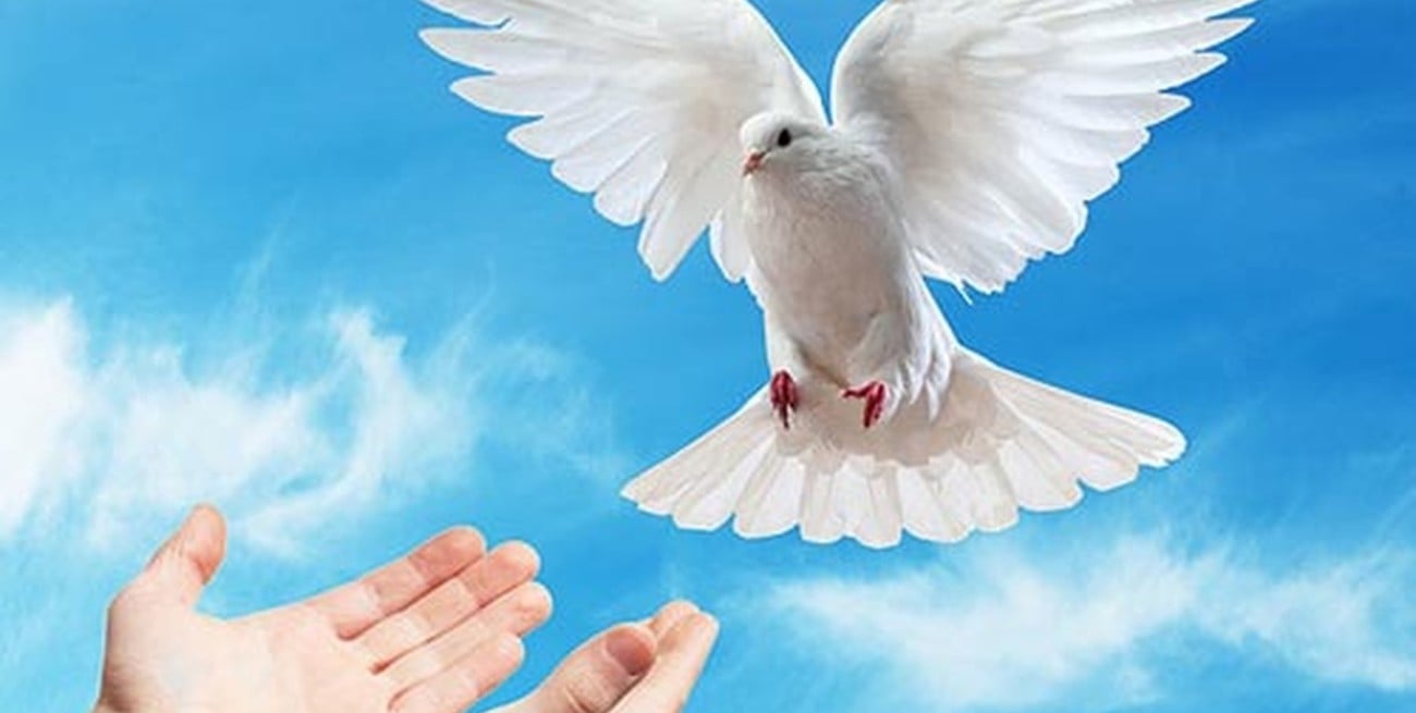 "Reciban el Espíritu Santo"