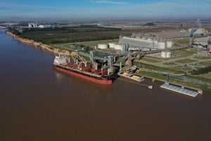 La cercanía a los puertos fortalece la competitividad del agro argentino