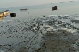 Unas mil personas de Diego de Alvear, Aarón Castellanos y San Gregorio viven directamente de la laguna La Picasa.
