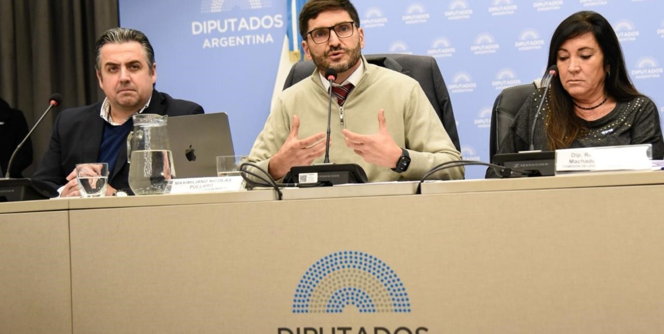 Pullaro respaldó en el Congreso Nacional el proyecto de Ley Anti Mafias