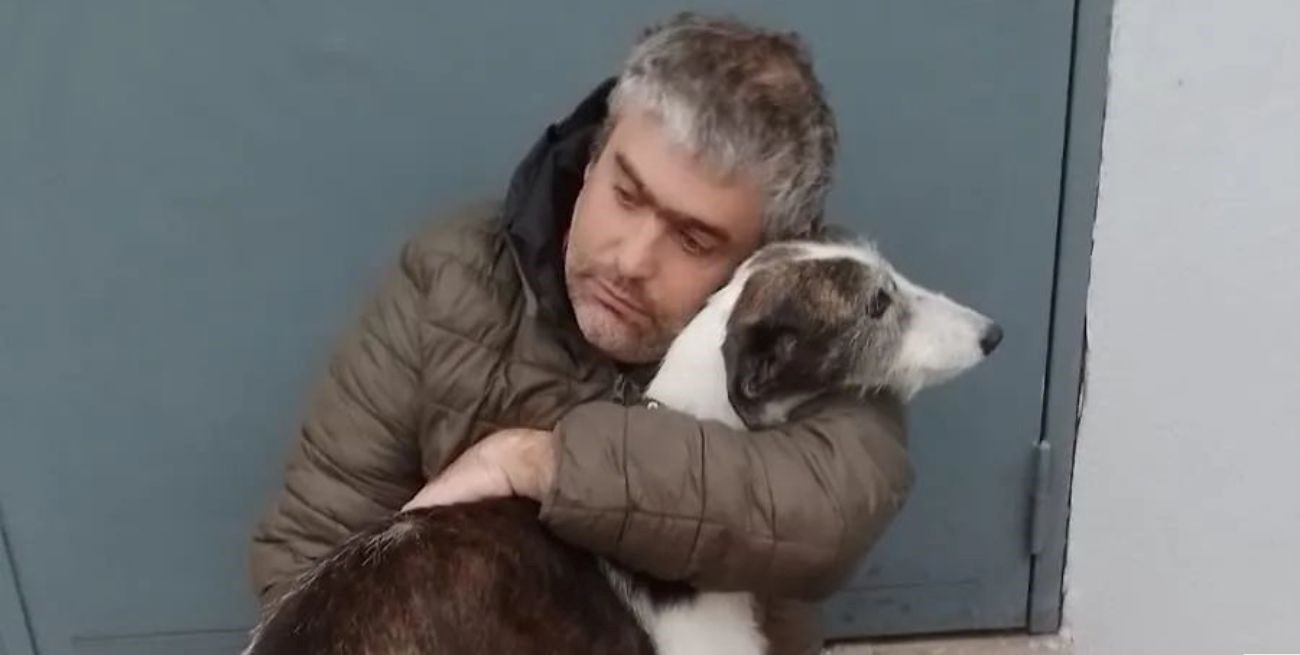 Chani, la galga mestiza, por fin llegó a La Plata para encontrarse con su nuevo dueño
