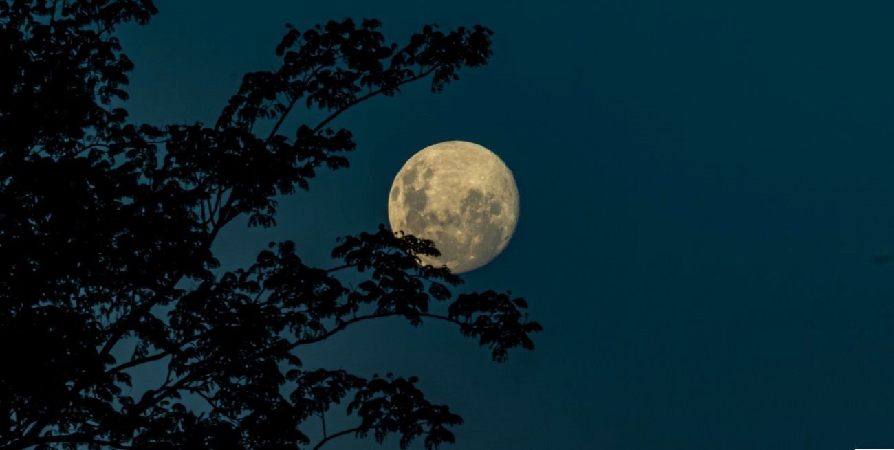 Auge de las sesiones de Luna llena: ¿qué son y por qué son tendencia?
