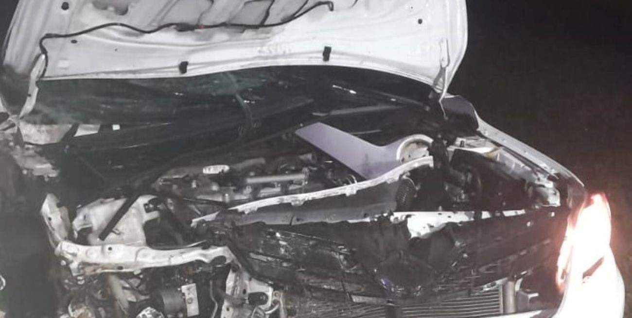 Un auto chocó con un animal en la Autopista Santa Fe-Rosario
