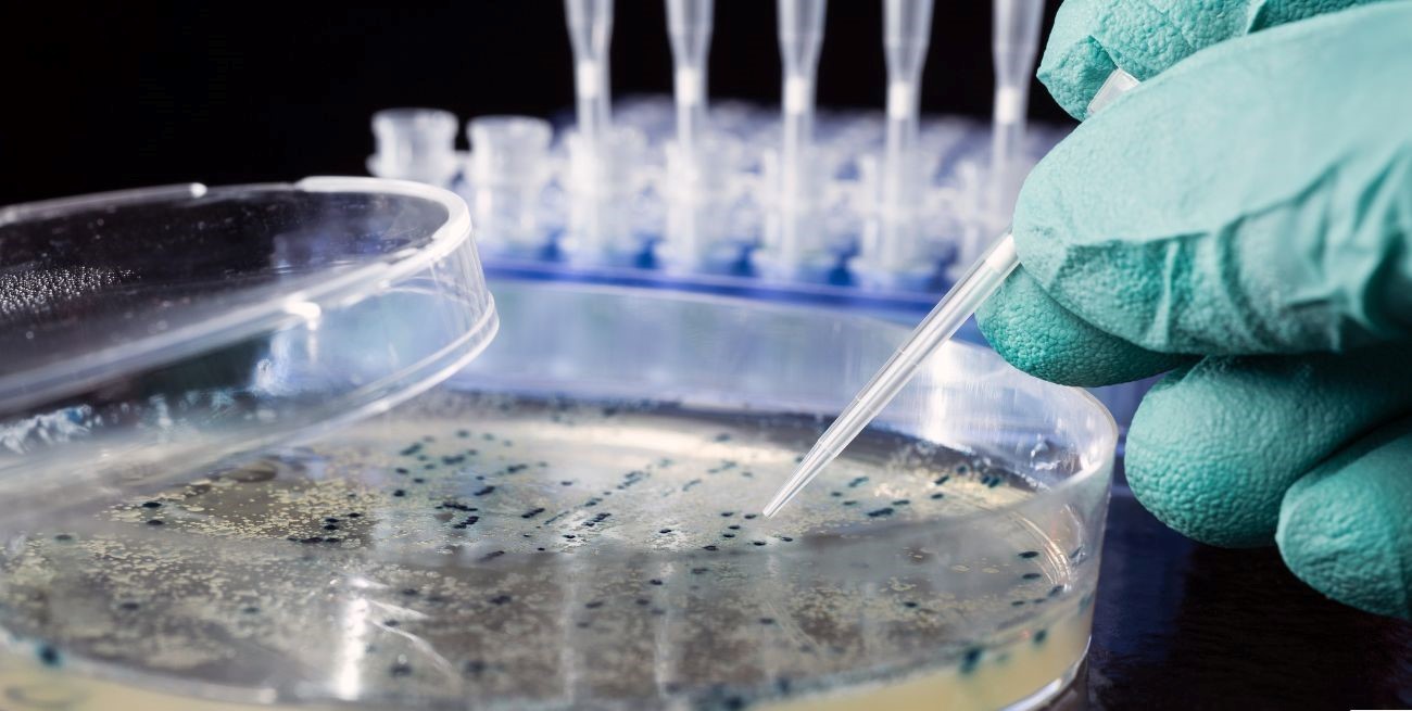 Un niño falleció por meningitis bacteriana en Chajarí