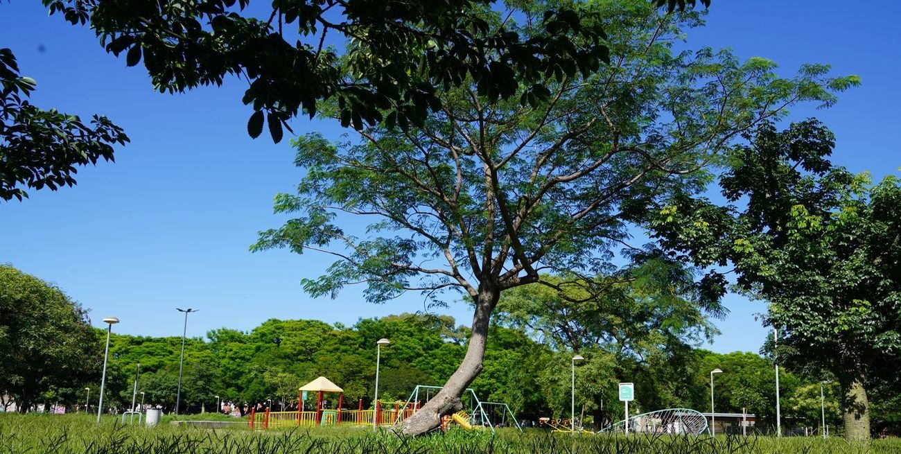 Invitan a una plantación de árboles en el Parque Federal de Santa Fe