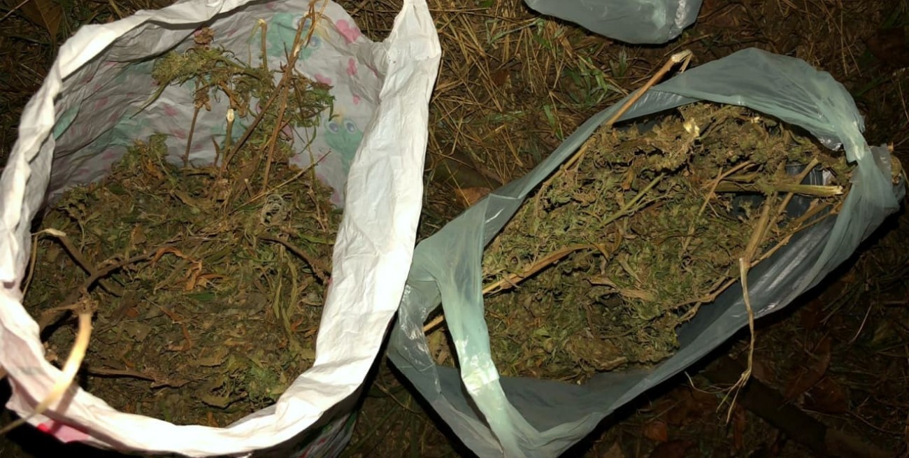 Sauce Viejo: detienen a una pareja con medio kilo de marihuana