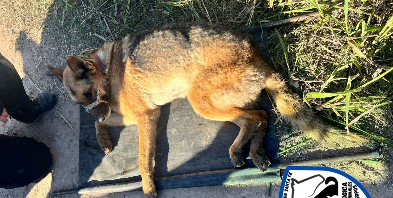 Un ovejero quedó atrapado en un profundo pozo y fue rescatado por la policía