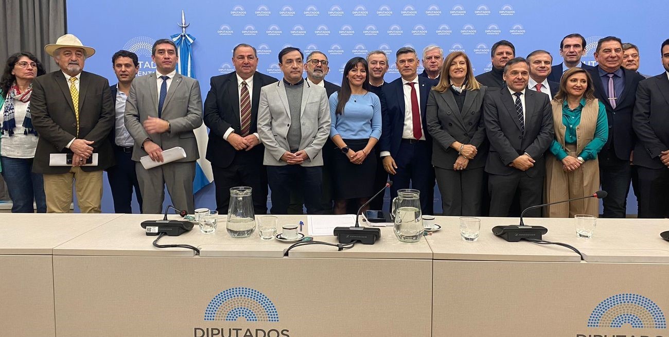 "Que se tomen decisiones porque la situación es crítica", le pidió Poletti a diputados nacionales