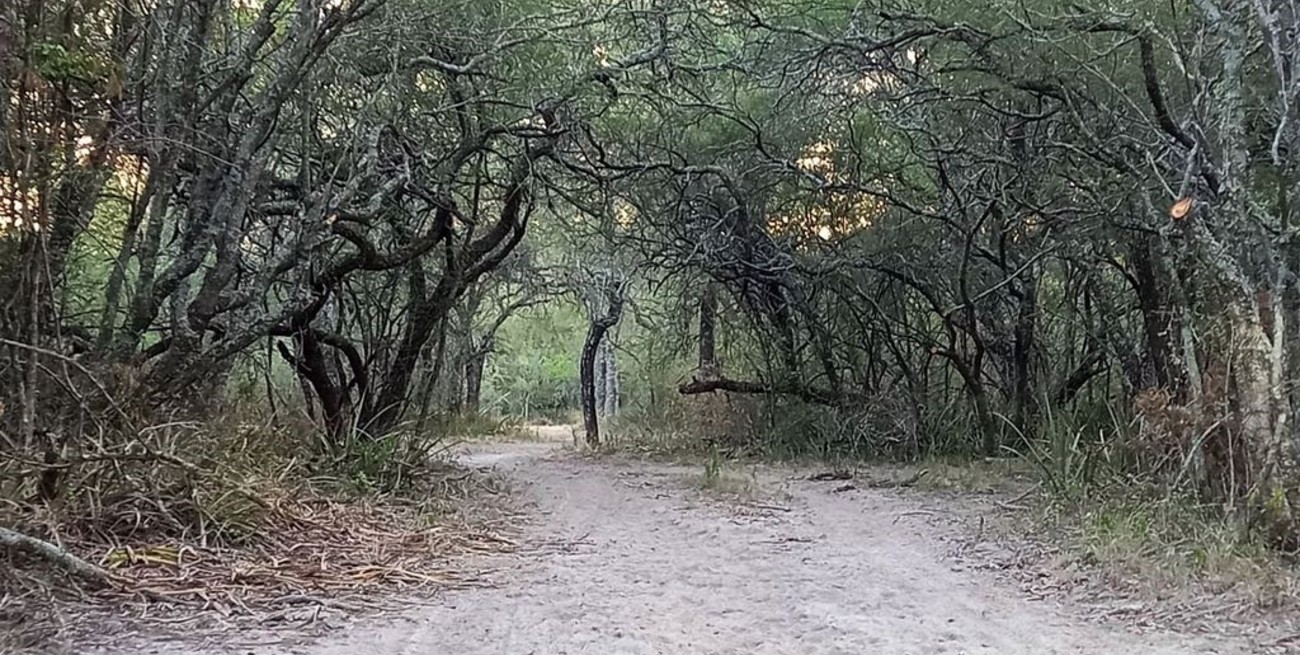 Inscribir el campo como reserva natural, una forma de potenciar la empresa agropecuaria