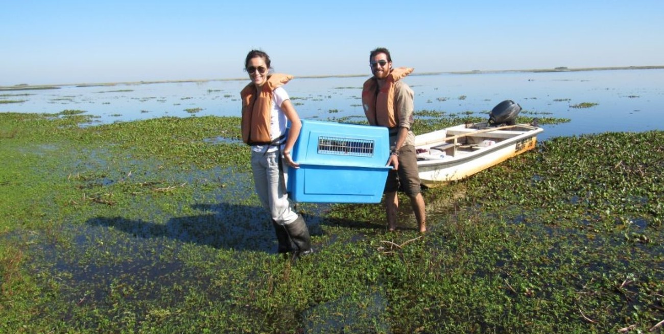 Sofía Heinonen: "El Día del Medio Ambiente debería ser todos los días"