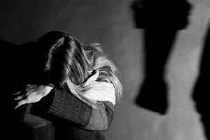 Creación del Registro Único de Personas Condenadas como Autores de Hechos de Violencia de Género