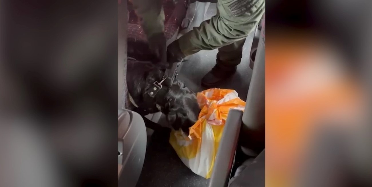 Incautaron más de 10 kilos de cocaína escondidos en un colectivo en el sur de Santa Fe